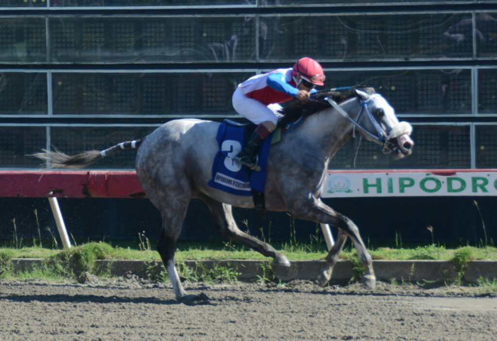 TRACK LORD (2)