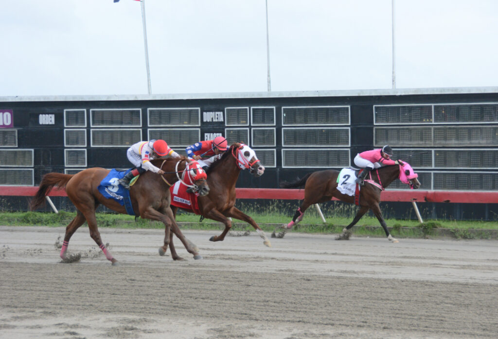 GRACE FROM ABOVE (1)