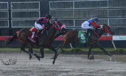 SEÑORITA ESTHER (5)