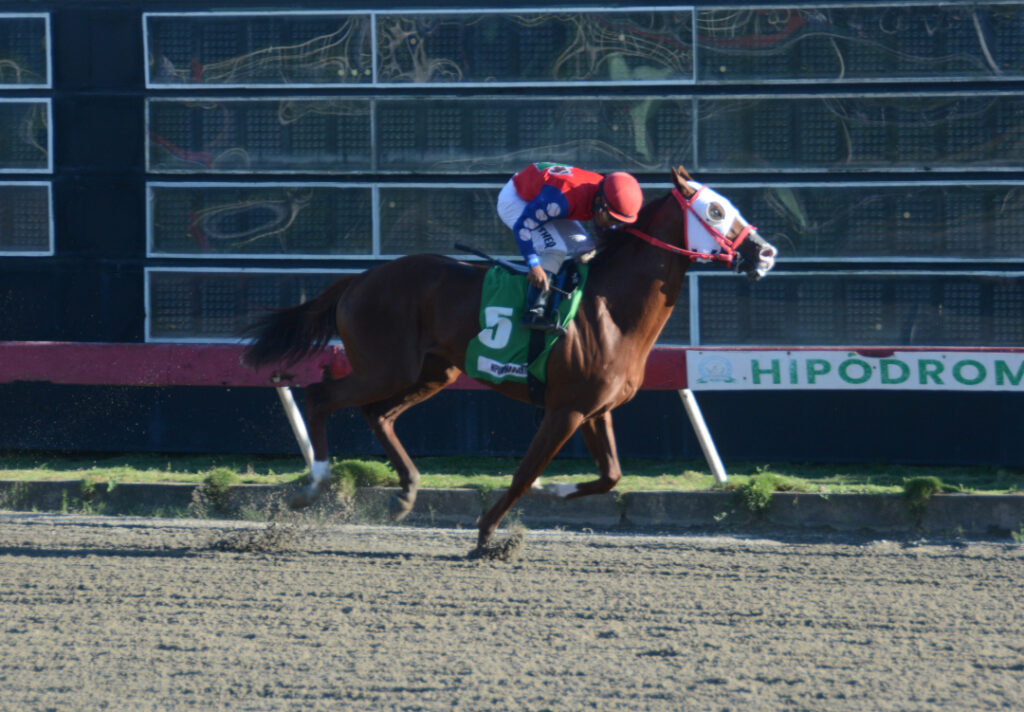 GRACE FROM ABOVE (5)