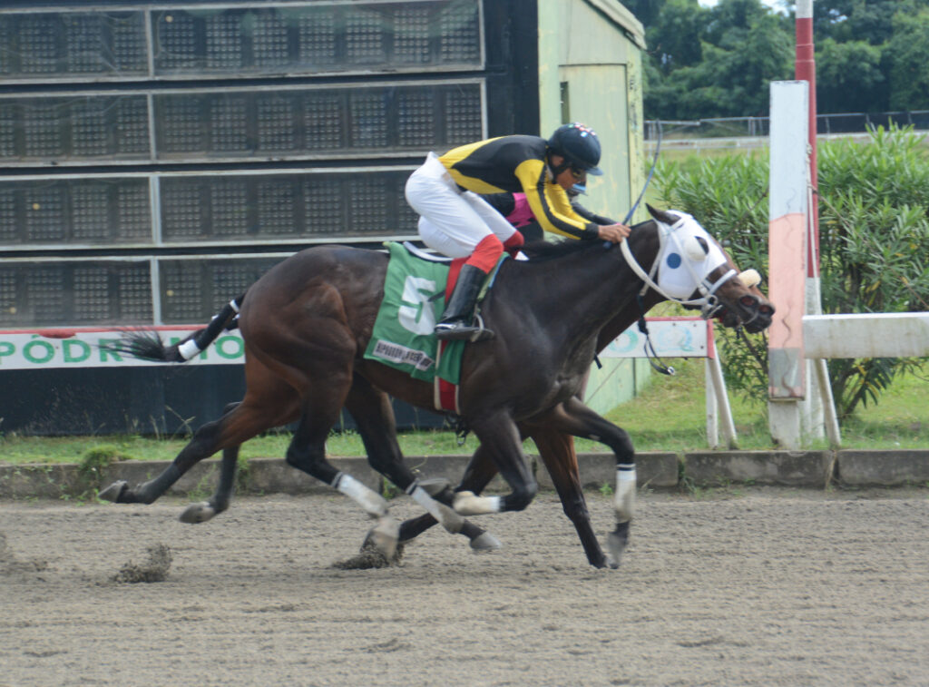 UNDERTAKER BLACK (5)