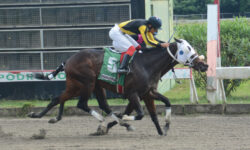 UNDERTAKER BLACK (5)