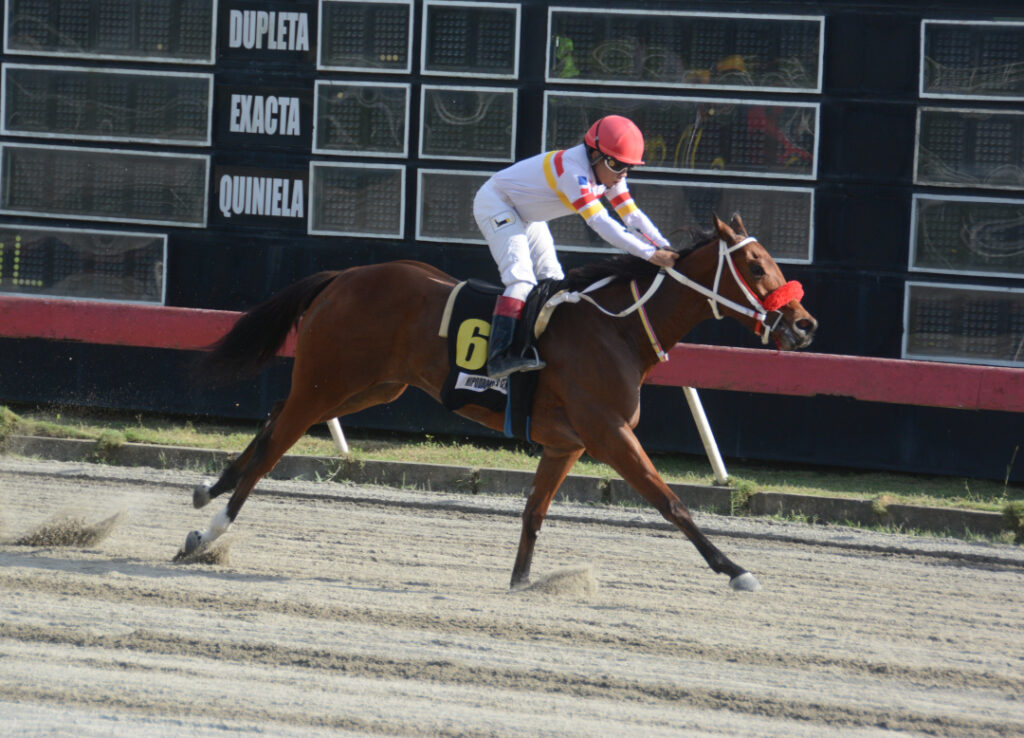 MY BIG FANSWELLS (6)