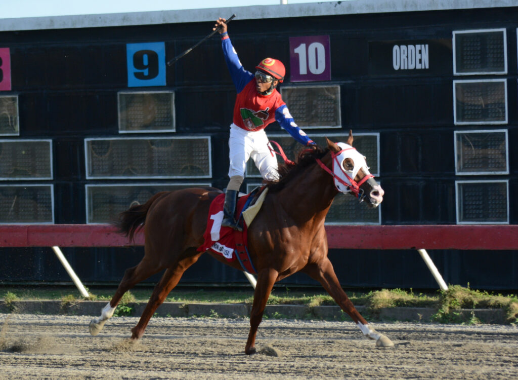 GRACE FROM AVOBE (1)