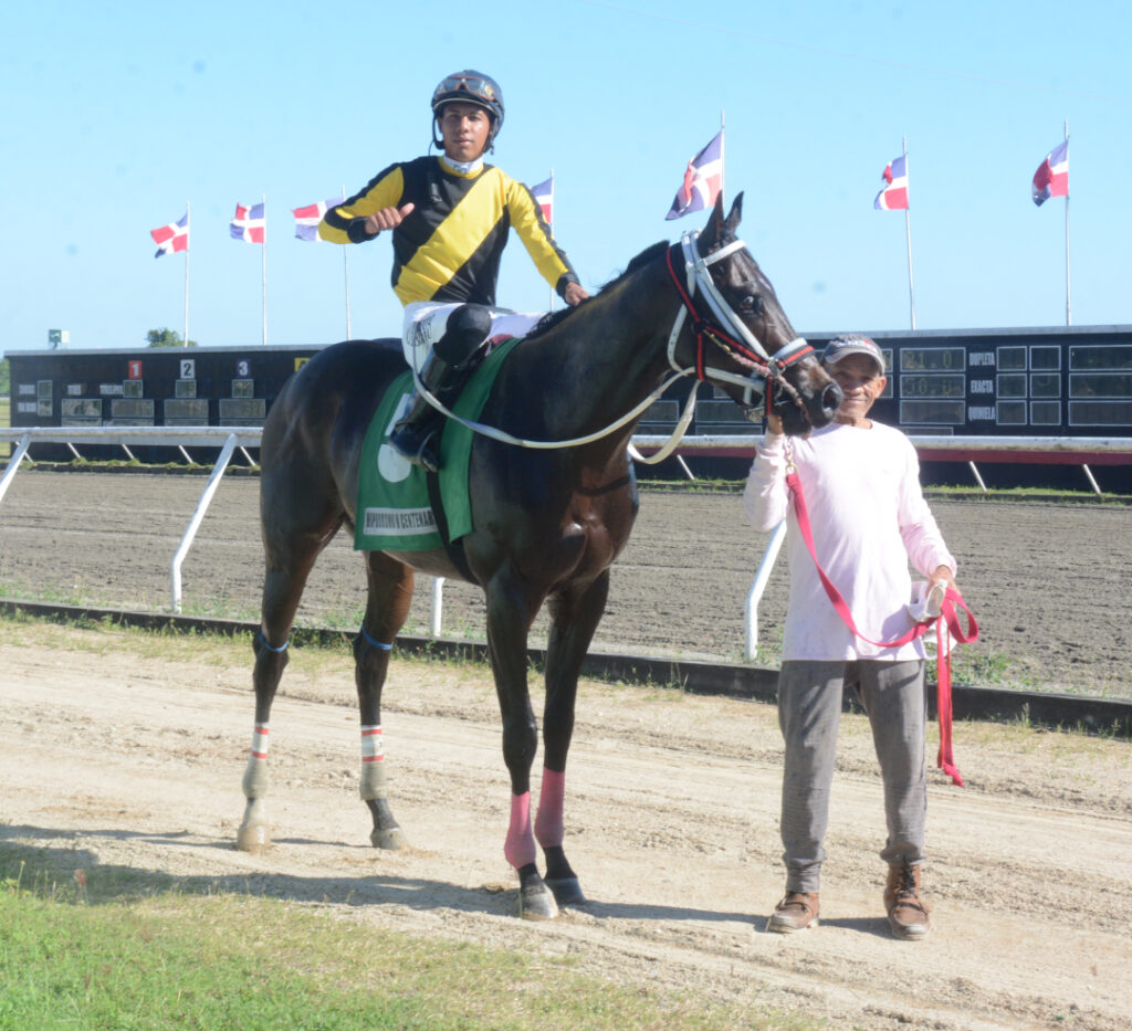 UNDERTAKER BLACK (5)