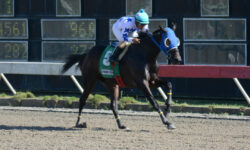 WELLS SELECTED D (5)