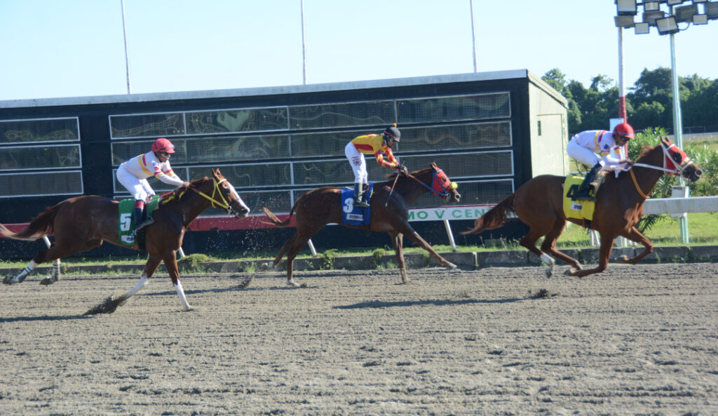 GIANNA WELLS BIRD (4)