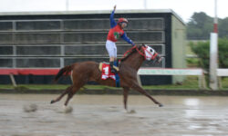 GRACE FROM ABOVE (1)