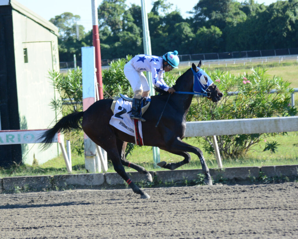 WELLS SELECTED D (2)