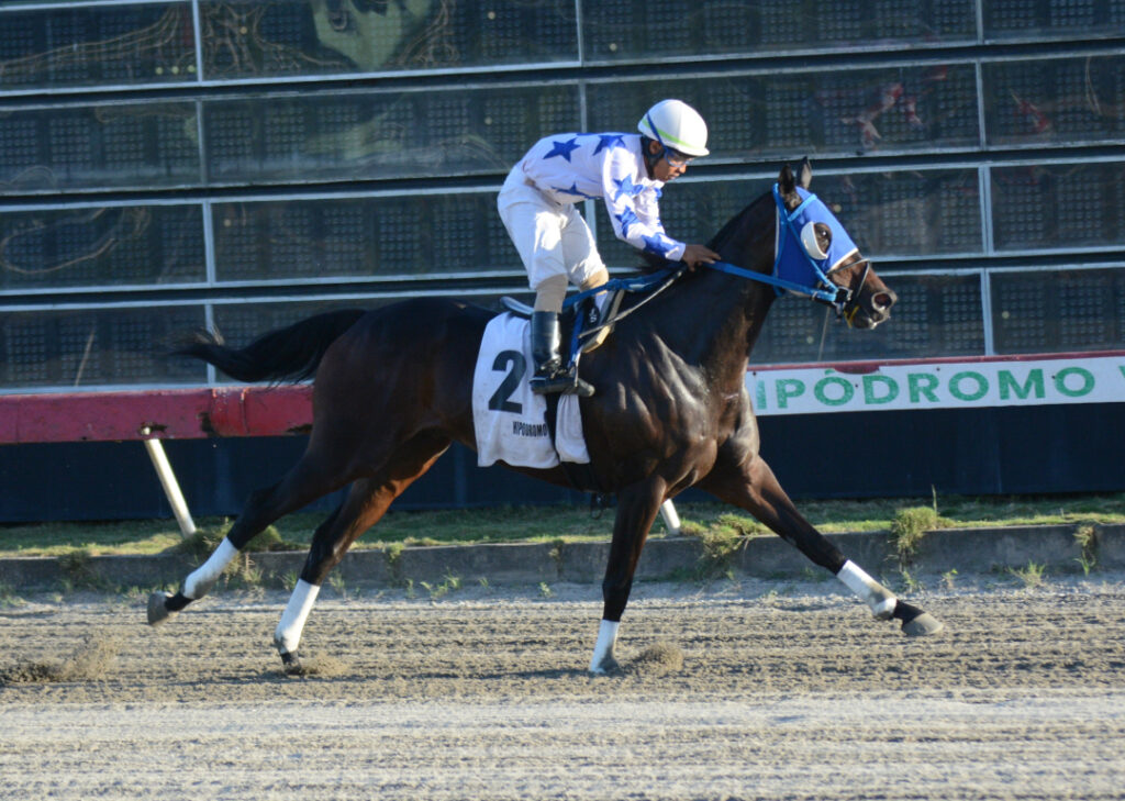 WELLS SELECTED D (2)