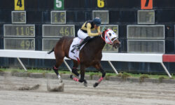 UNDERTAKER BLACK (2)