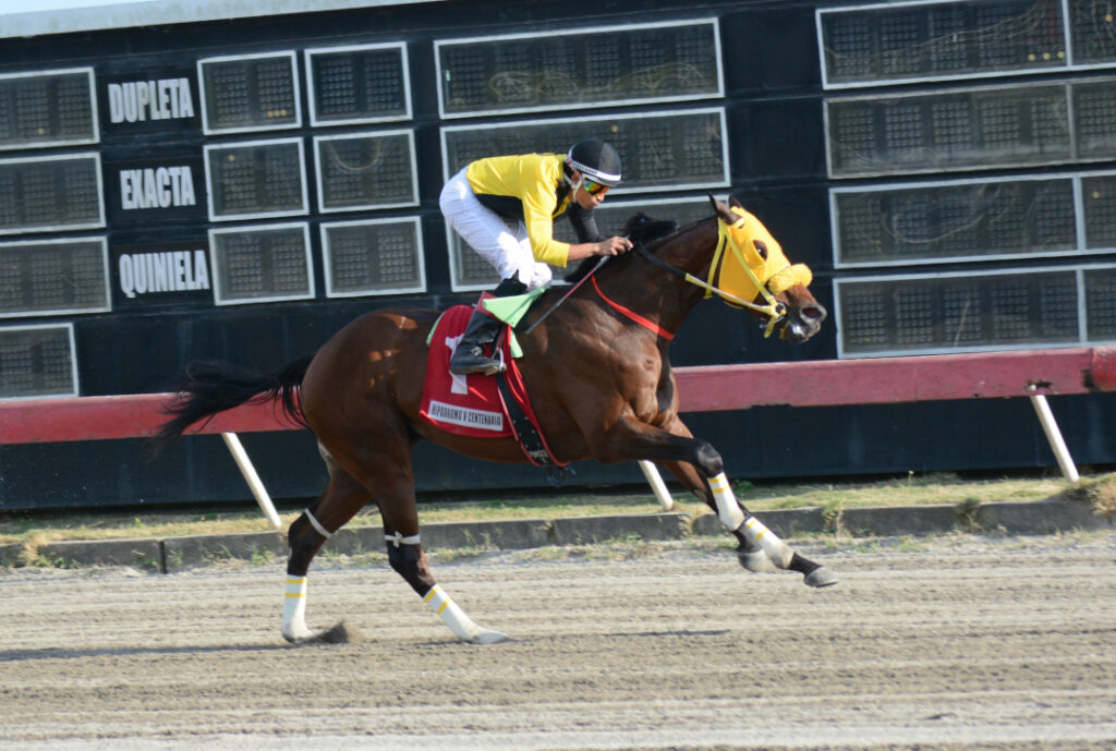 EL RUBIO DEL SWIN (1)