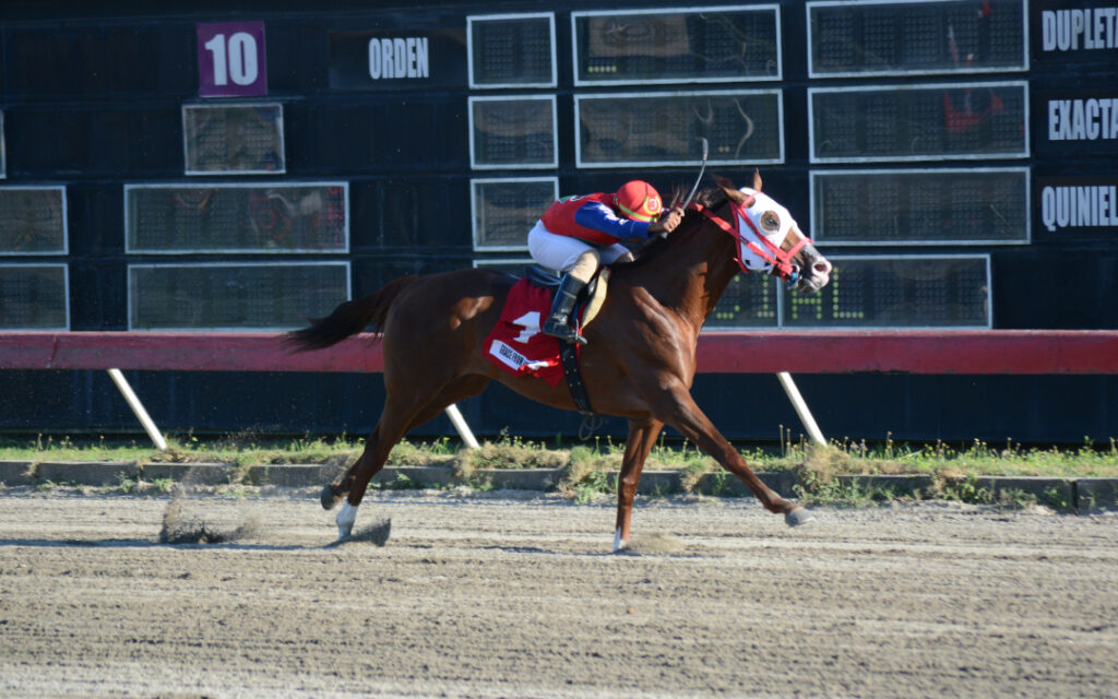 GRACE FROM ABOVE (1)