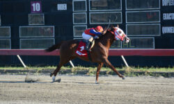 GRACE FROM ABOVE (1)