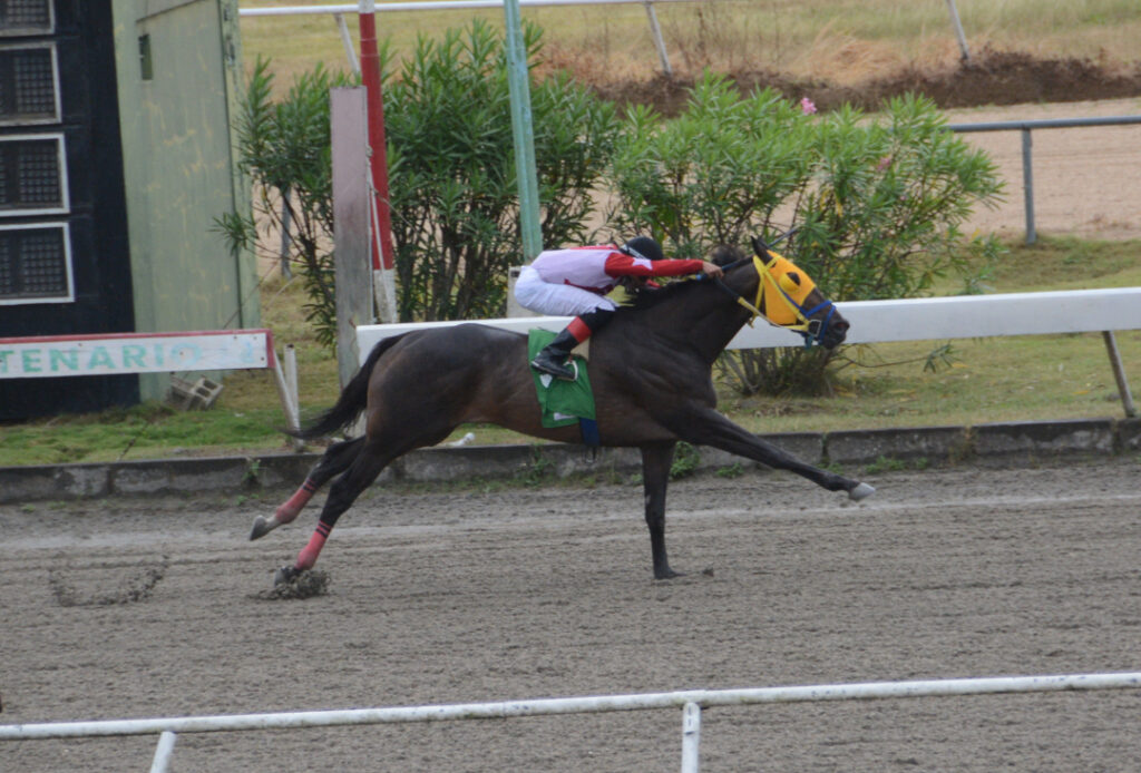 VENEZUELAN FAITH (5)
