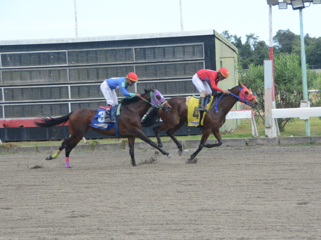 AMORES ESCONDIDOS (4)