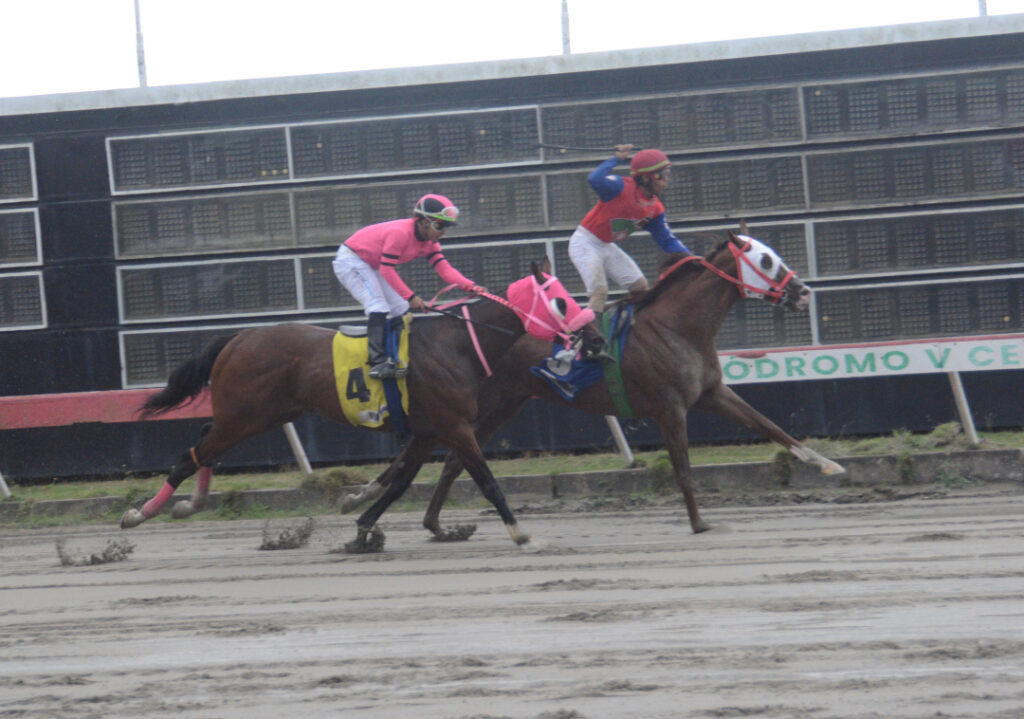 GRECE FROM ABOVE (3)