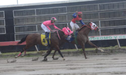 GRECE FROM ABOVE (3)