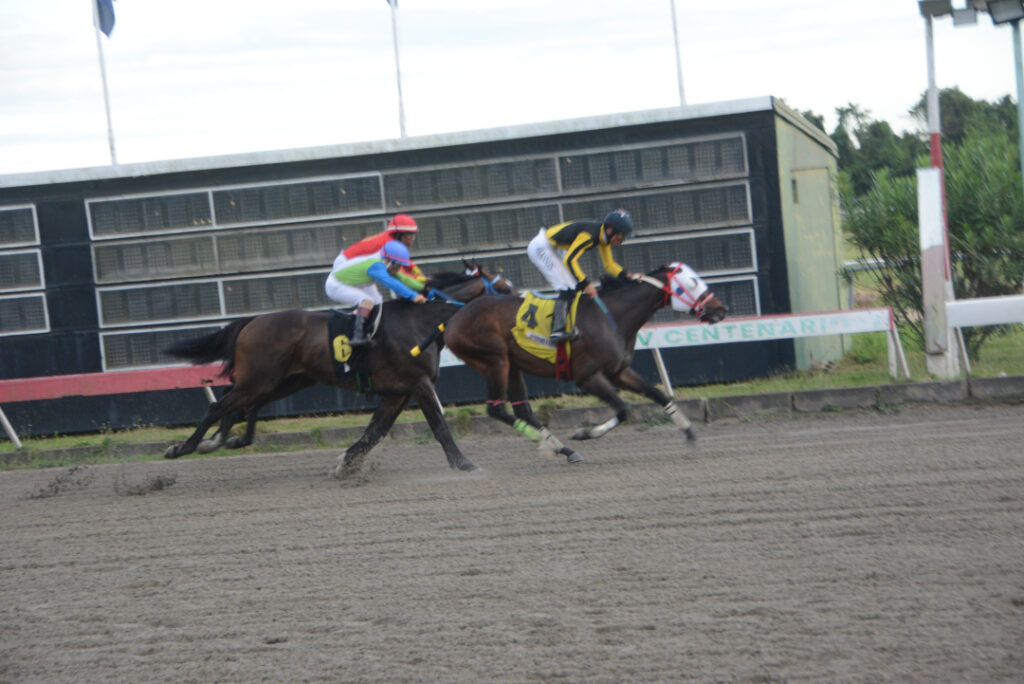 UNDERTAKER BLACK (4)