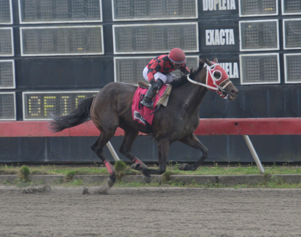  WICKED BEAUTIFUL (8)