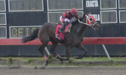 WICKED BEAUTIFUL (8)