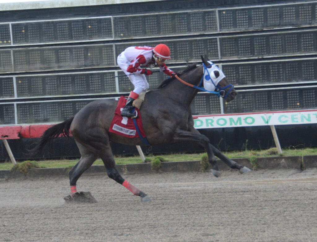 VENEZUELAN FAITH (1)