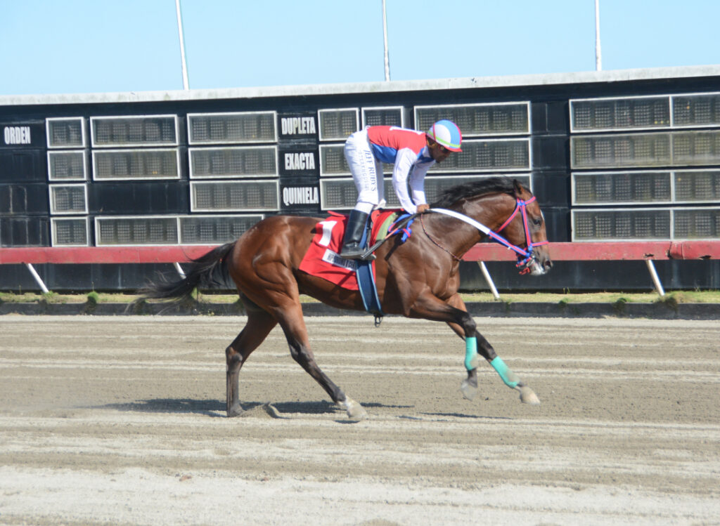 EL VILLANO L (1)