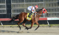 JARLIAN (4)