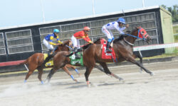 QUANTUM LEAP (1)