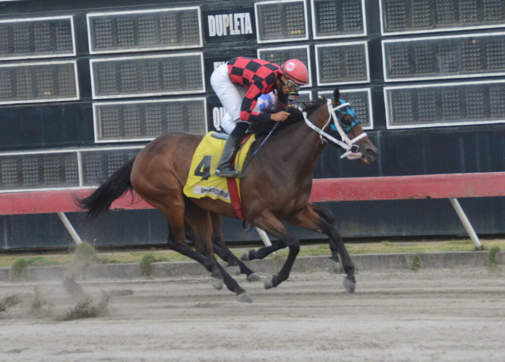 CABUYA B (4)