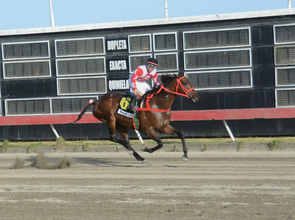 DANZING HARD