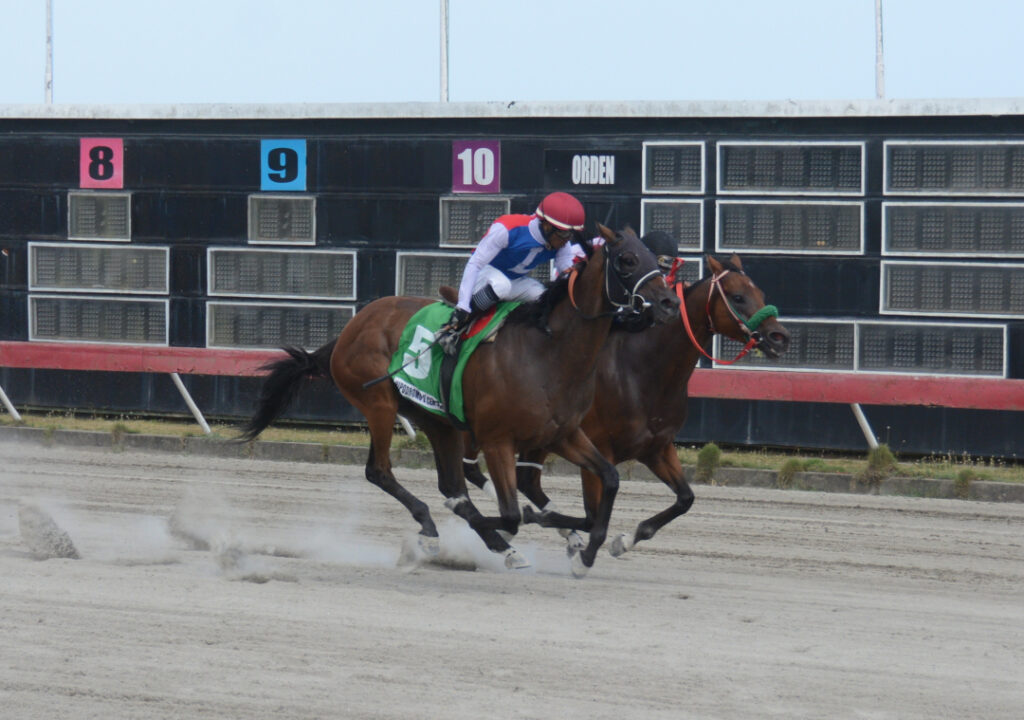 DOMINICAN THUNDER (5)