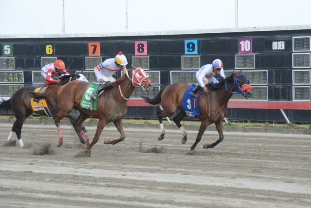 D ORO S WISH (3)