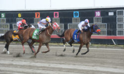 D ORO S WISH (3)