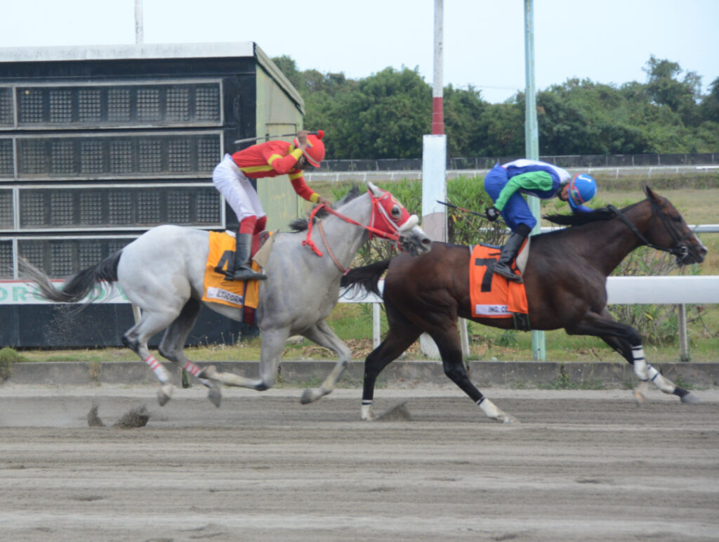 ING. COLLADO (7)