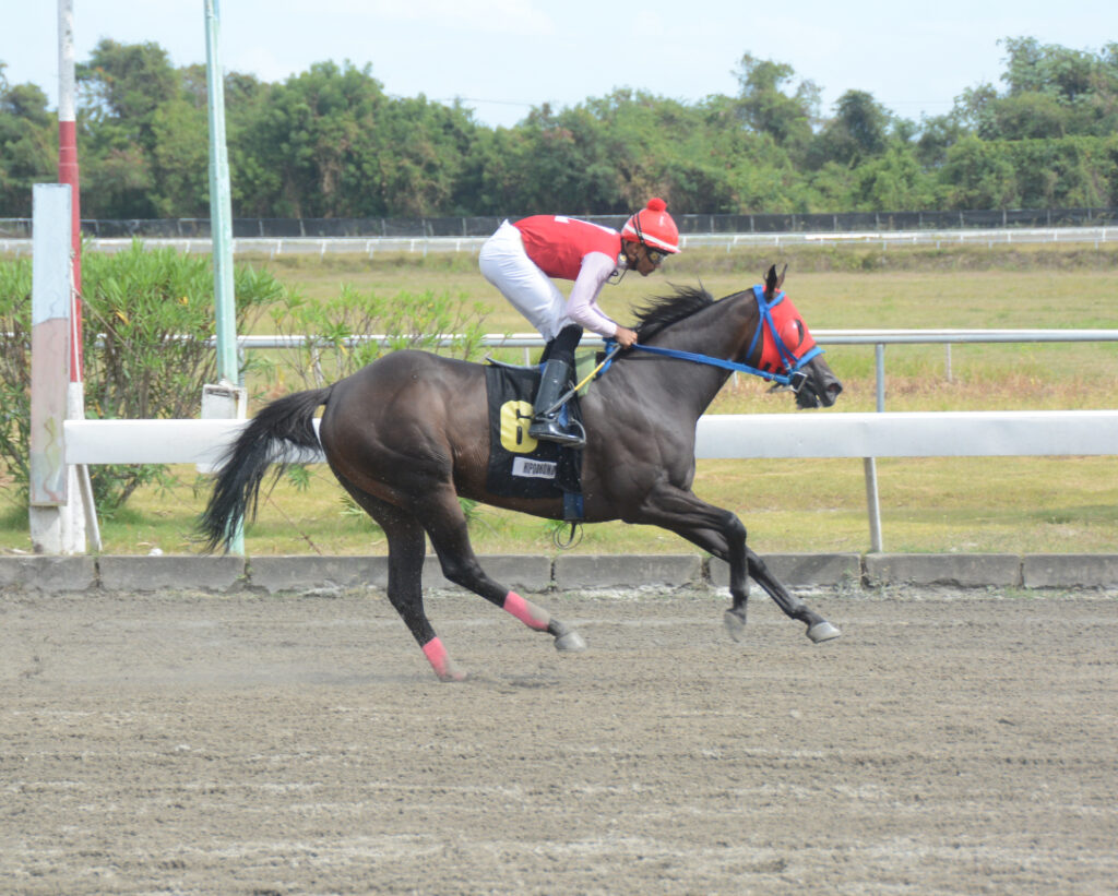 HECTOR B (6)