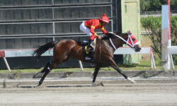 MAGNIFICEN CREED (6)