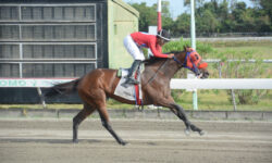 BREEZY JUSTICE (2)