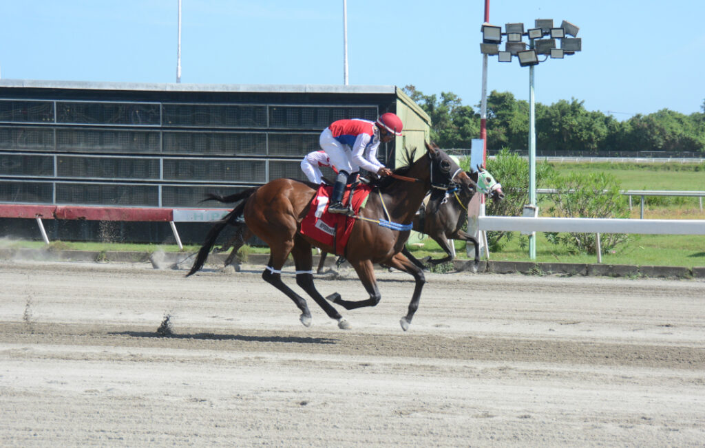 DOMINICAN THUNDER (1)