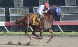 BATTERING (4)