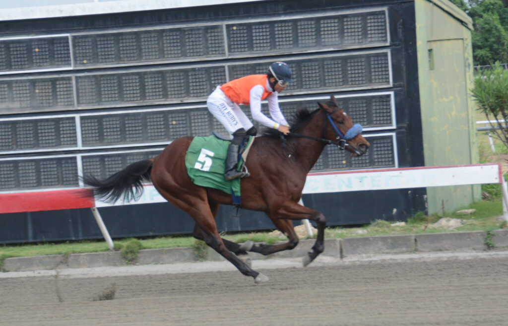 BRONCO A (5)