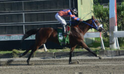 LOZATO (5)