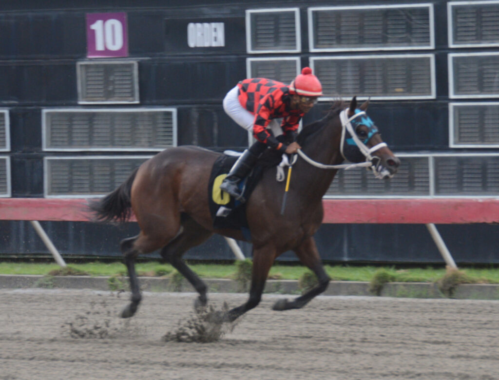 CABUYA B (6)