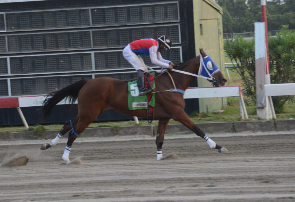 DOÑA JACKELINE (5)