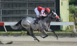 ILUSIONADA S (2)