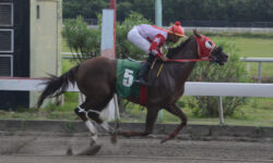 MAITE A (5)