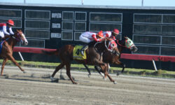 SR. LEGREAUX (4)