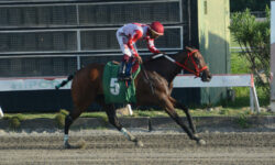 DINASTIA AGUIAR (5)