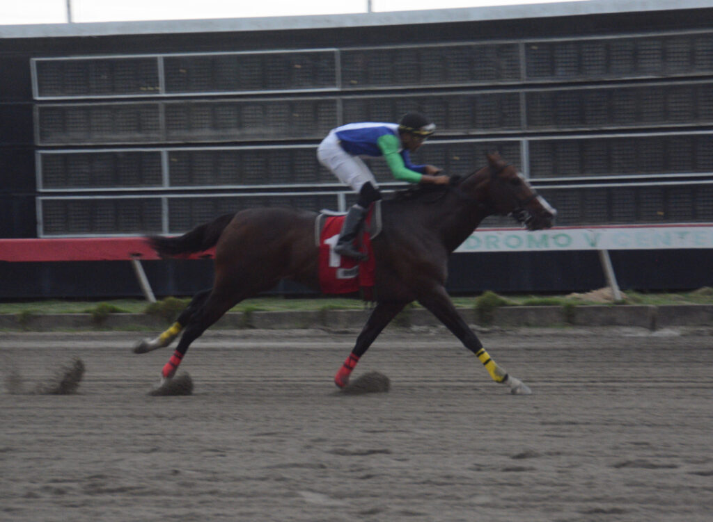  ING COLLADO (1)